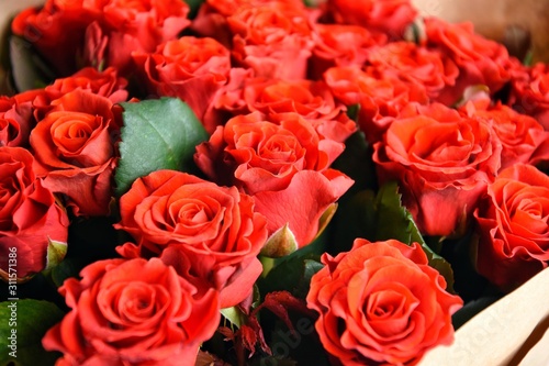 Big beautiful bouquet of red roses in craft paper with selective focus. Amazing lush lava roses for st Valentine   s Day or Mother   s Day. Greeting concept. Red roses background. Tender flowers 