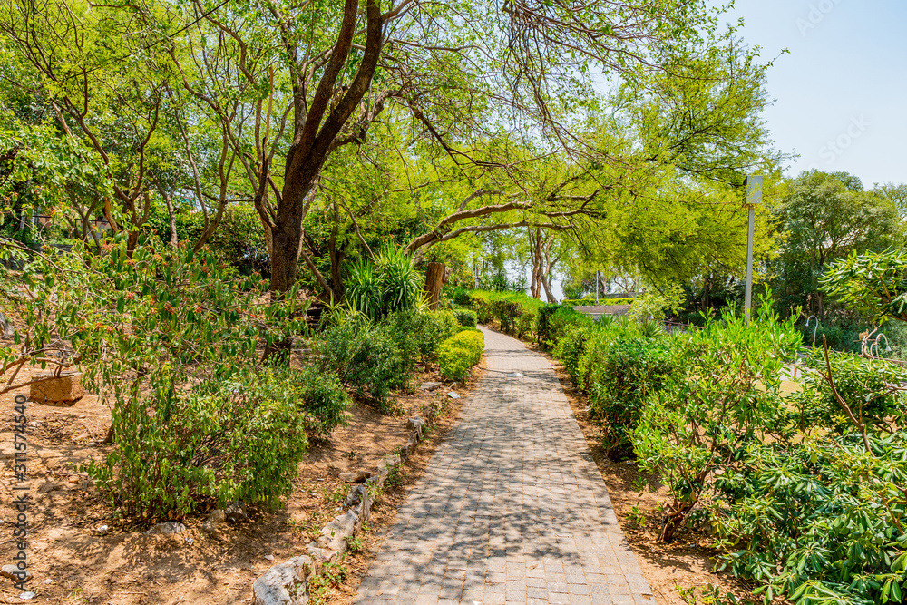 Islamabad Daman-e Koh Park 93