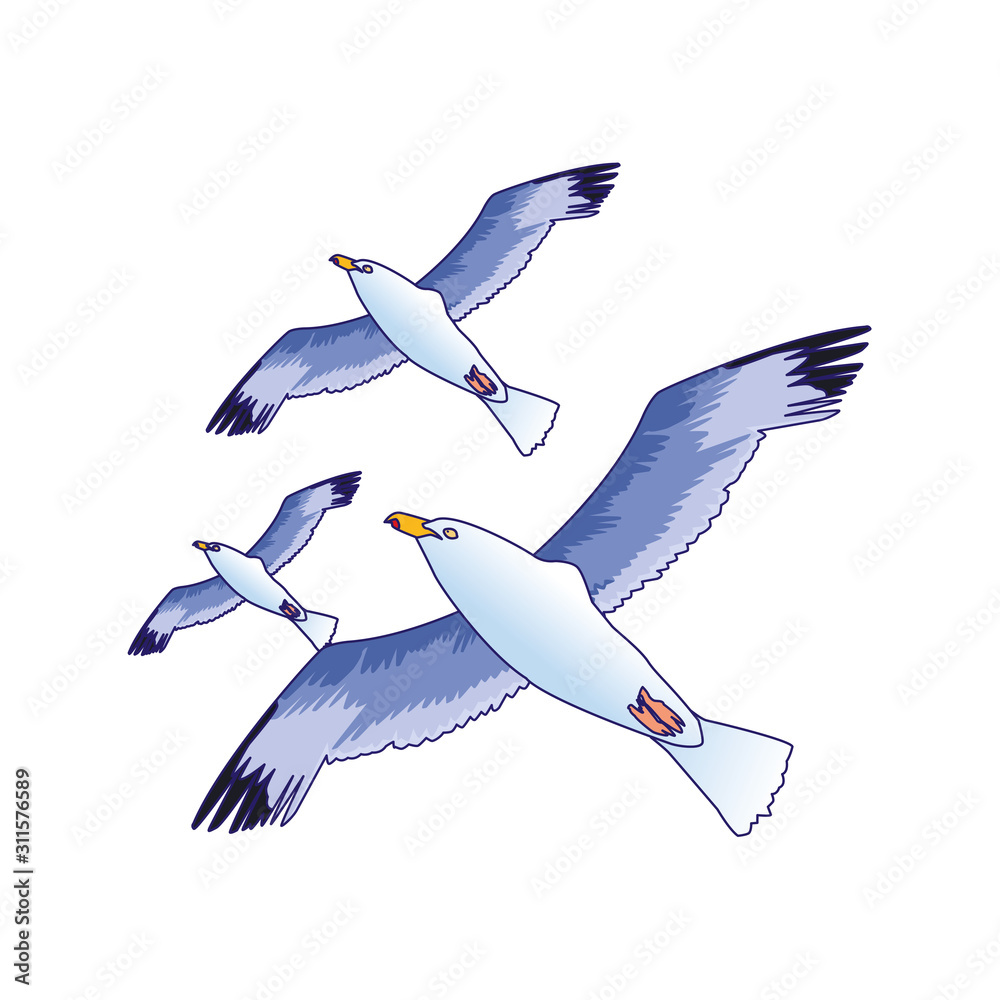 Obraz premium gulls flying icon over white background