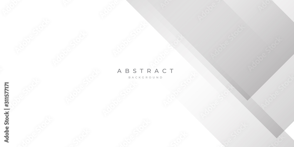 White Grey Silver Box Rectangle Abstract Background Vector Presentation Design