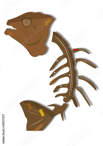Poisson fossile