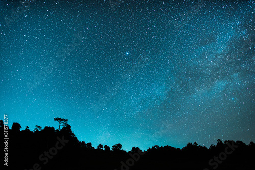 Blue dark night sky with many stars above field of trees, Milkyway cosmos background