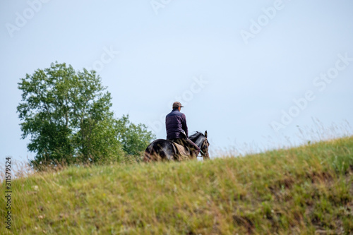 a rider on a horse hiding behind a hill. summer day