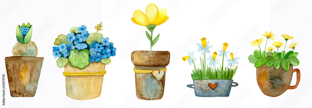 Watercolor set of potted flowers. Set of images for the flower shop in ...