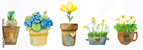Watercolor set of potted flowers. Set of images for the flower shop in watercolor style. Bouquets of flowers in pots, tulips, asters, hydrangeas and drtsgie. Watercolor flowers.