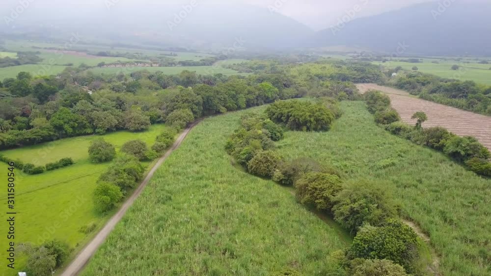 Drone view of coffe plantation in Colombia
