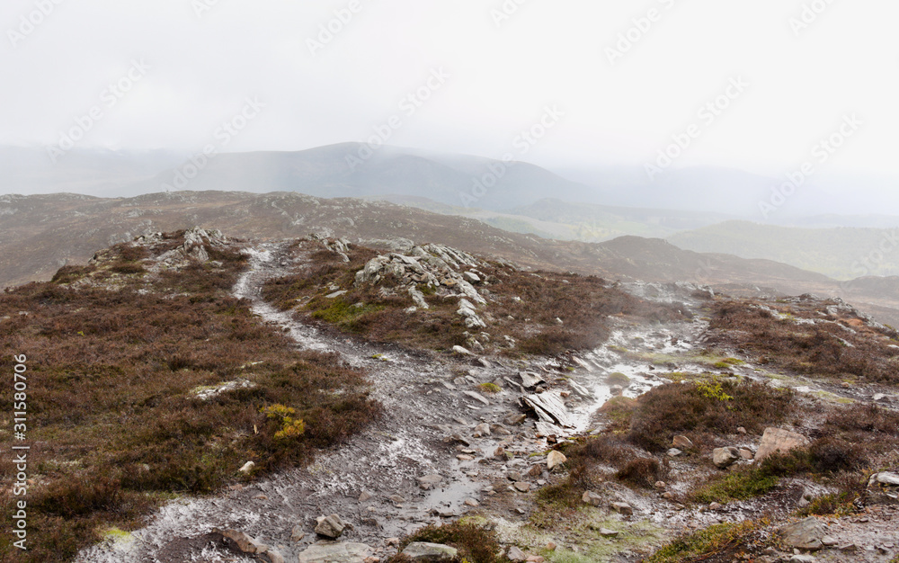 Rothiemurchus - hiking hill trail - II - Scotland Rothiemurchus - hiking hill trail - II - Scotland