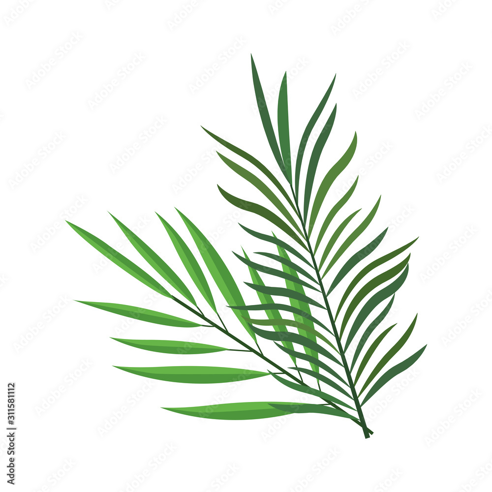 tropical leaves icon image, colorful design tropical leaves icon image, colorful design