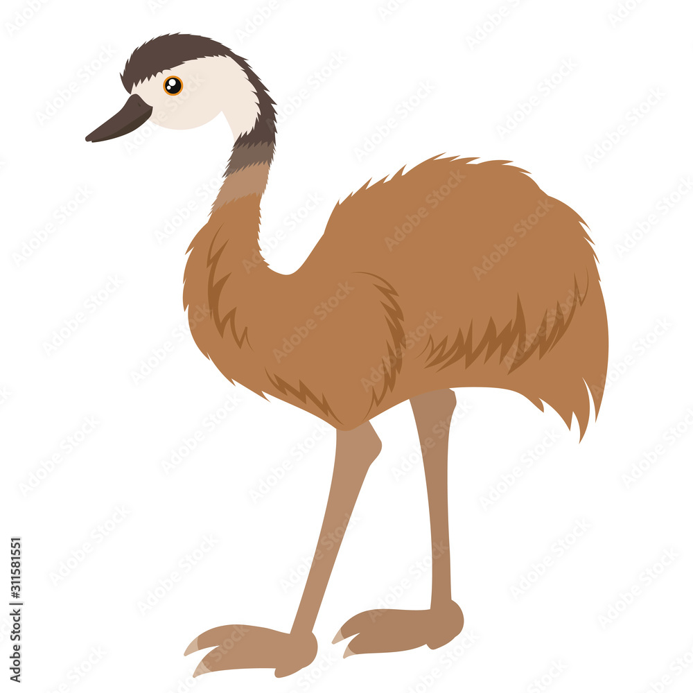 Cartoon ostrich emu. Vector illustration on a white background. Drawing for  children. Stock Vector | Adobe Stock