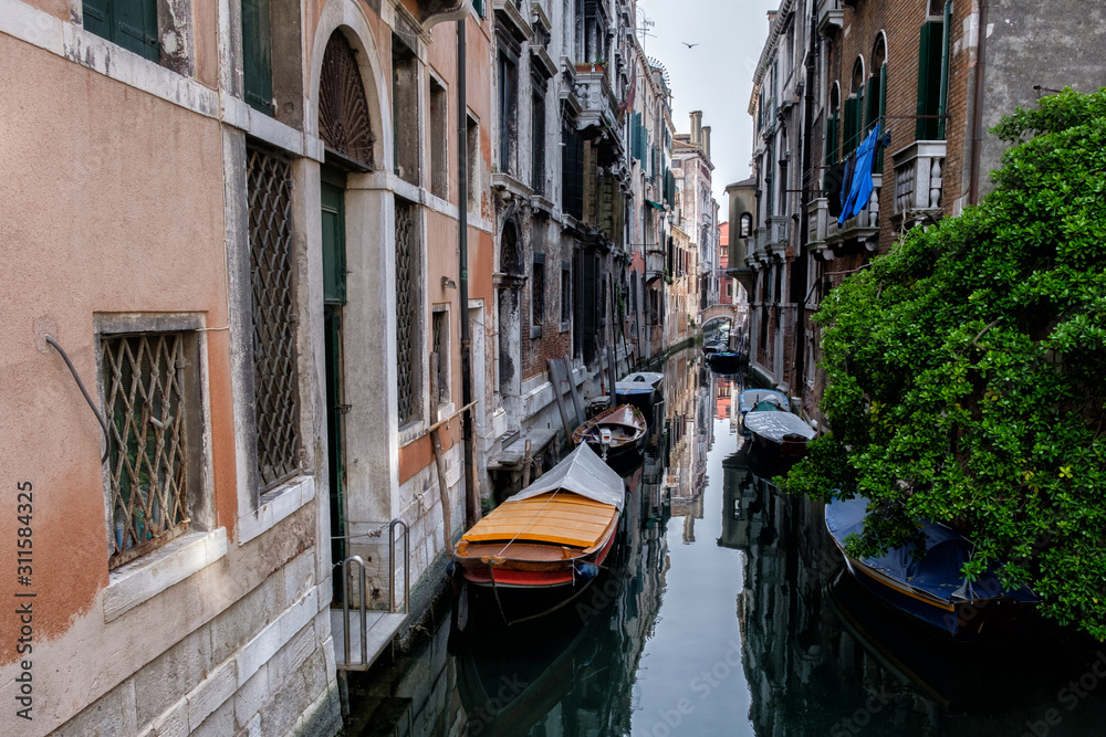 Narrow canal between old houses, boats on dark water. Green tree. Venice, Italy.