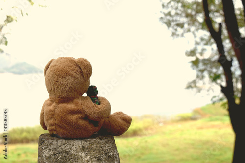 Photos Soft focus, brown teddy bear Sit and watch the natural scenery Lonely alone