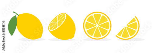 Fotografie, Obraz Lemon slice citrus fruit flat icon