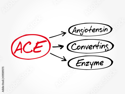 ACE - Angiotensin Converting Enzyme acronym, concept background