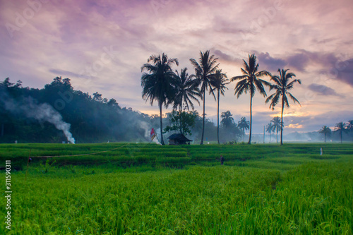 Indonesian natural beauty when the morning with the atmosphere of farmers who will go to the rice fields