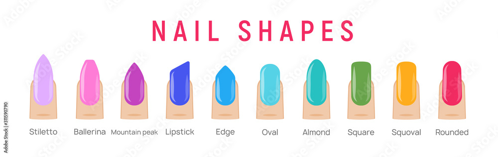 Nail shapes manicure vector art. Fingernail shape french form design  fashion salon Stock Vector | Adobe Stock