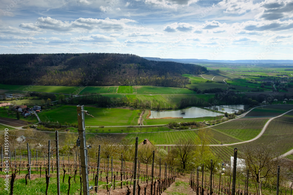 Weinberge bei Handthal im Steigerwald, Landkreis Schweinfurt, Unterfranken, Franken, Bayern, Deutschland