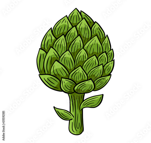 artichoke hand drawn engraved sketch drawing vector