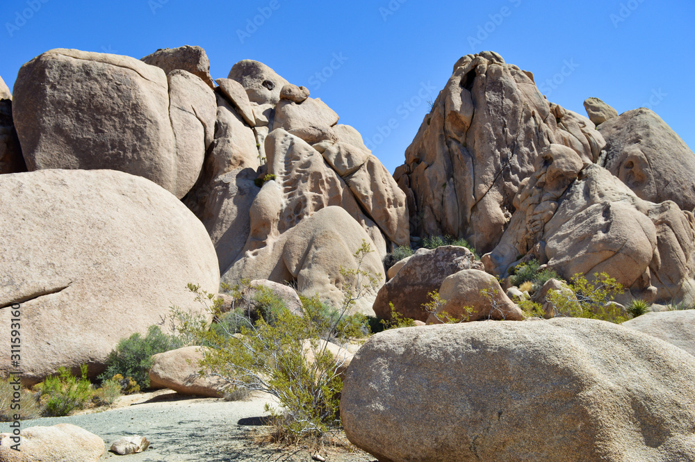 Extraordinary stone formations and yucca in nature in the Joshua tree National park, California