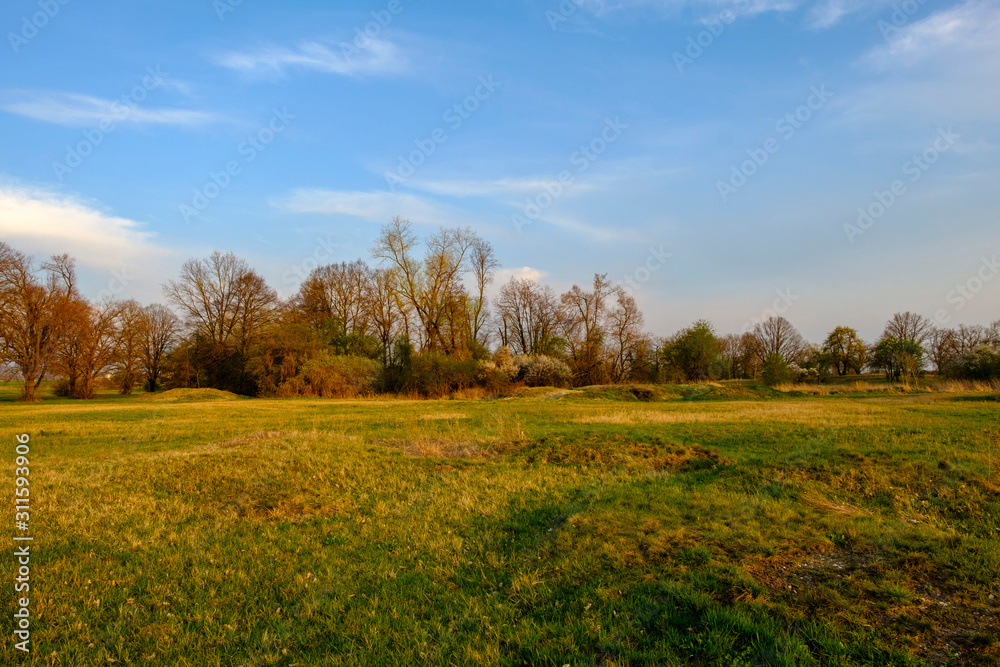 Abend im NSG Sulzheimer Gipshügel, Landkreis Schweinfurt, Unterfranken, Bayern, Deutschland