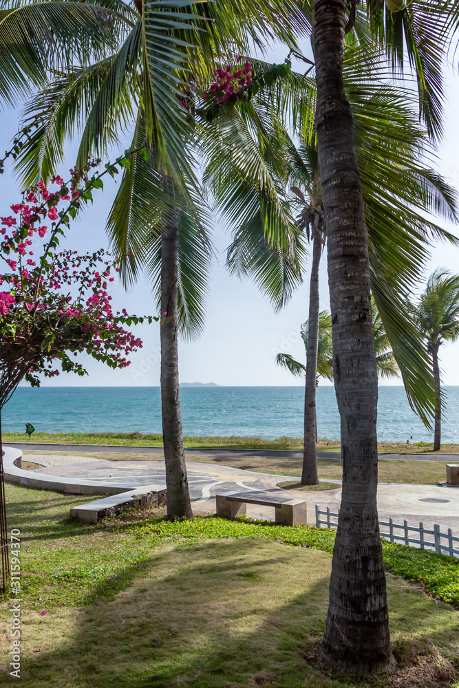 Tropical island with palm trees and beautiful promenade and beach and turquoise sea and a blue sky