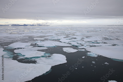 Arctic sea ice around Spitsbergen, Svalbard