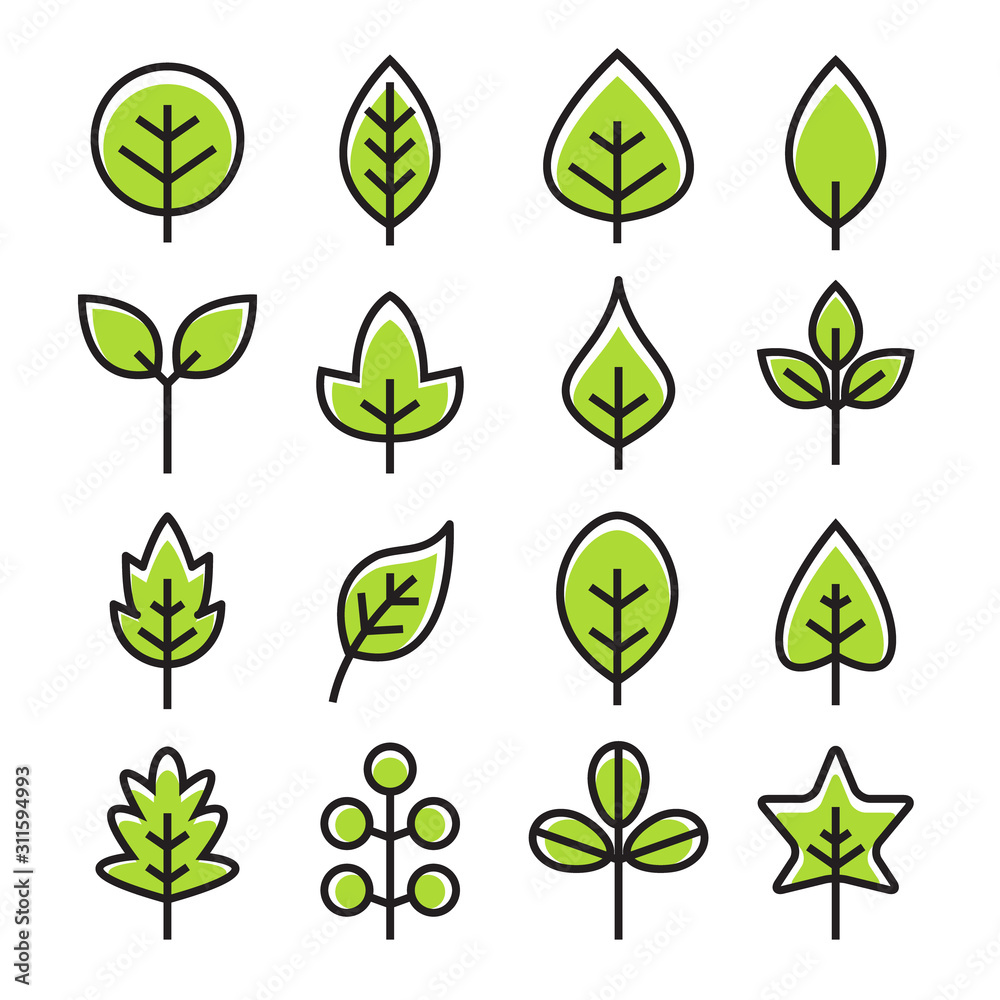 Leaf vector design line icon. Green line leaf plant outline symbol nature