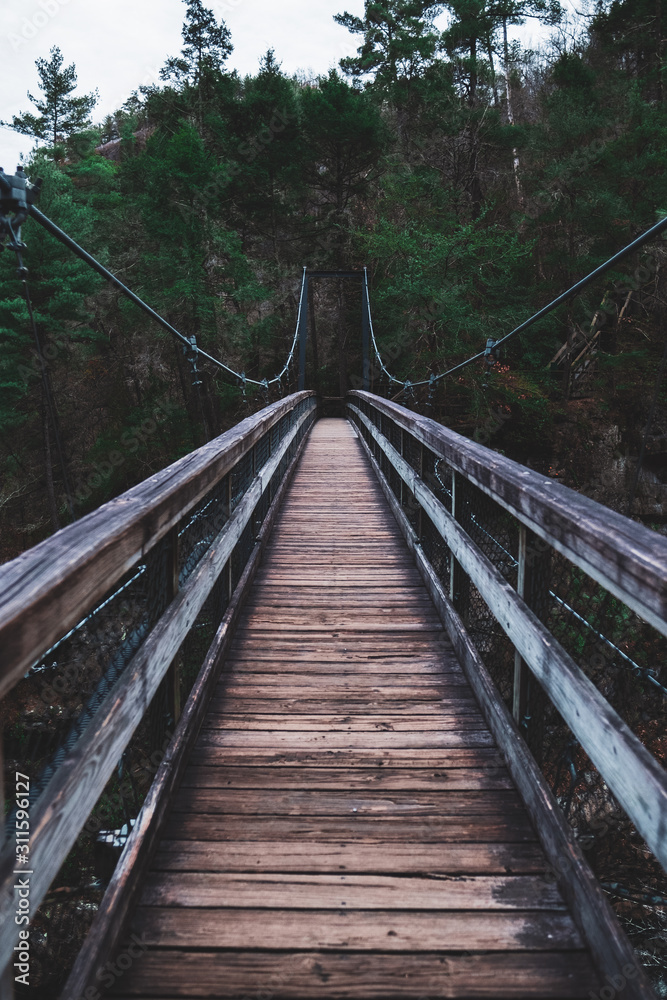 Moody empty bridge leading into a dark forest in Tallulah Falls Georgia