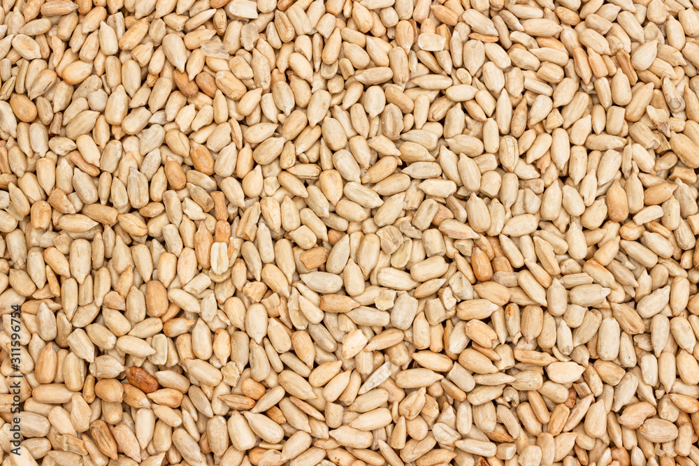 peeled sunflower seeds as a background texture