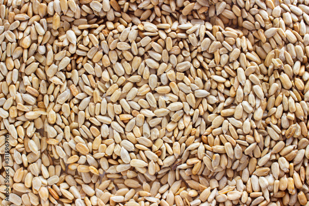 peeled sunflower seeds as a background texture peeled sunflower seeds as a background texture