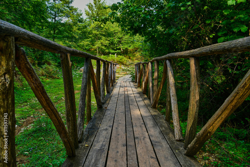 wooden bridge in the forest