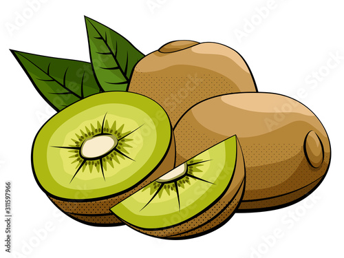 Vector illustration of kiwi fruits on white.