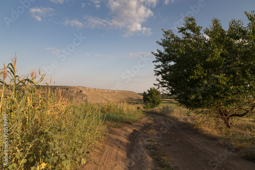 Landscape with a dirt road.