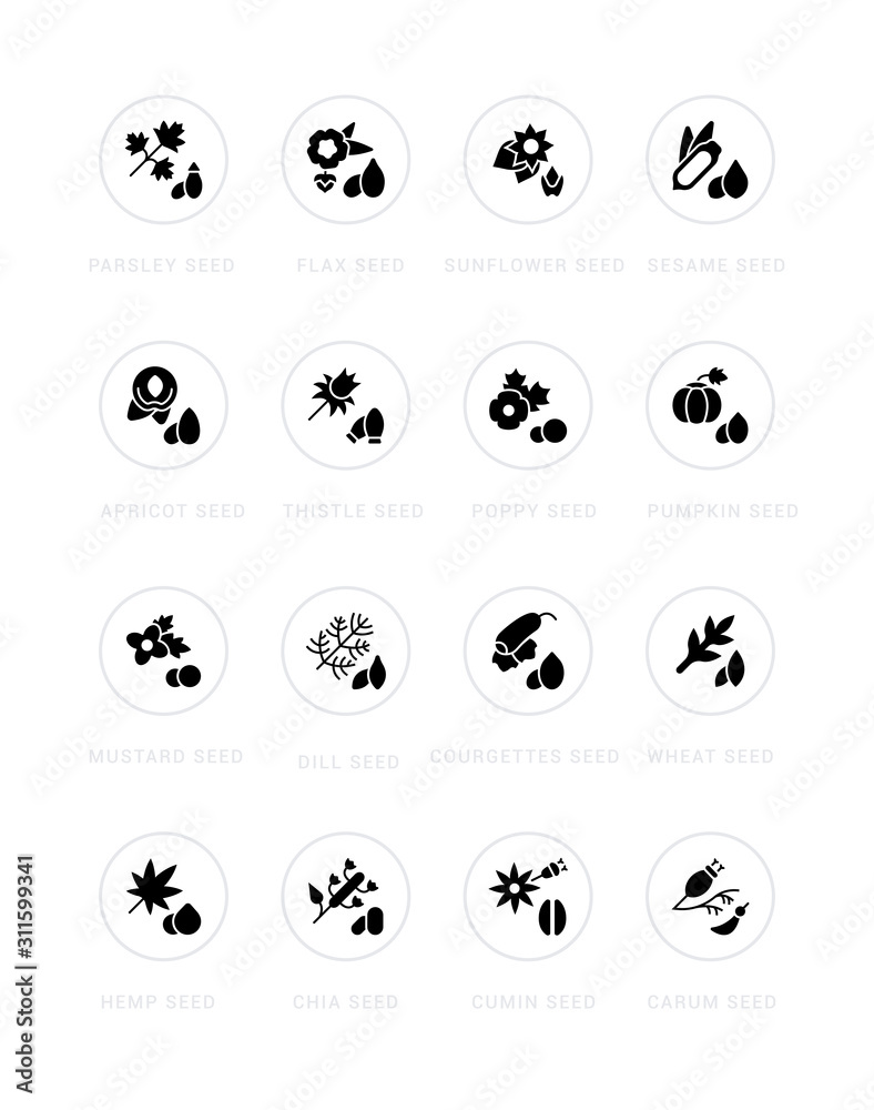 Set of Simple Icons of Seeds