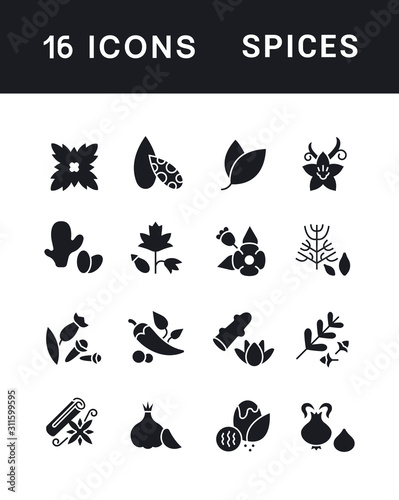 Set of Simple Icons of Spices
