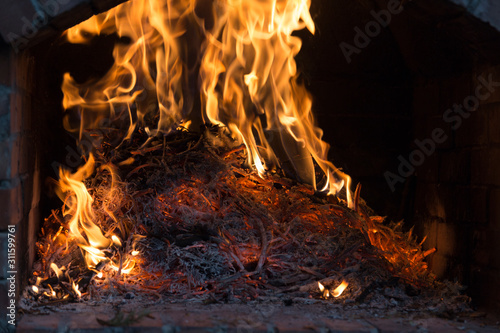 Fire wood burning in the oven