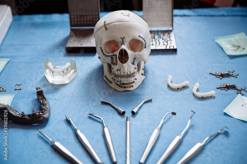 Plastic model of the skull for stomatology and maxillofacial surgery.