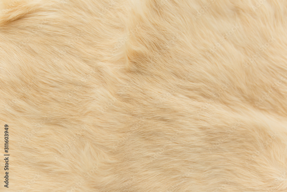 beige rabbit fur Texture, animal skin background