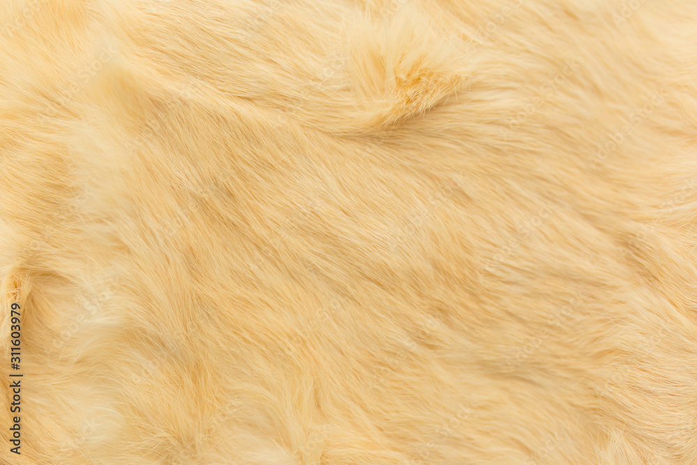 beige rabbit fur Texture, animal skin background beige rabbit fur Texture, animal skin background