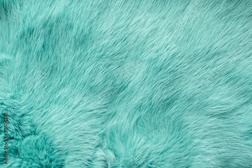 turquoise dyed rabbit fur Texture, animal skin background