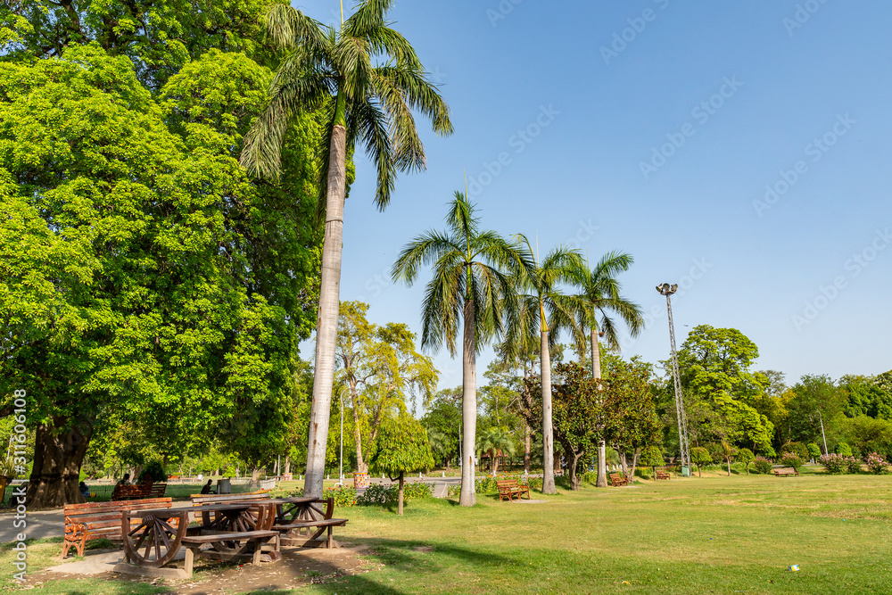 Lahore Bagh e Jinnah Park 61