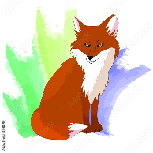 Wild animal, red fox that sits on its hind legs. Forest beast, sly fox on a colored background.