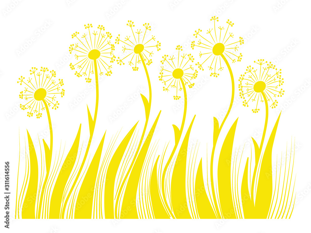 Fototapeta Spring composition of flowering plants. Summer flower arrangement. Yellow dandelions with yellow leaves.