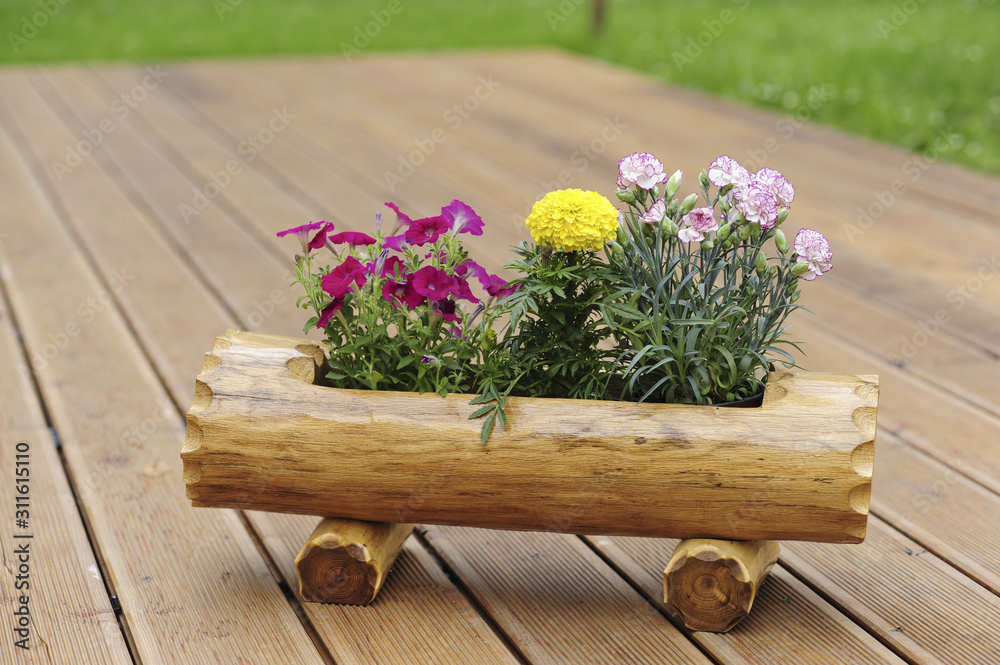 Holzkiste, Blumen, Terrasse Stock-Foto | Adobe Stock
