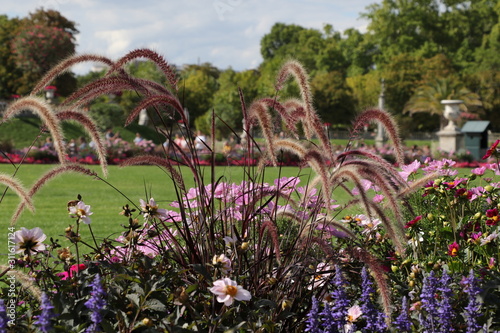 Jardin du Luxembourg à Paris photo