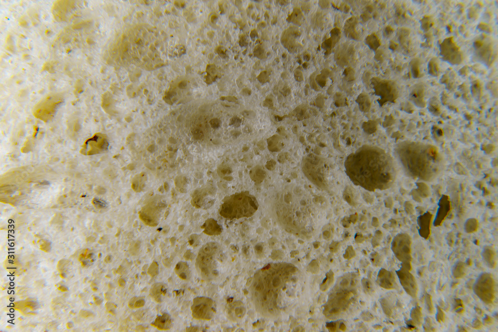 The white bread texture. Macrophotography