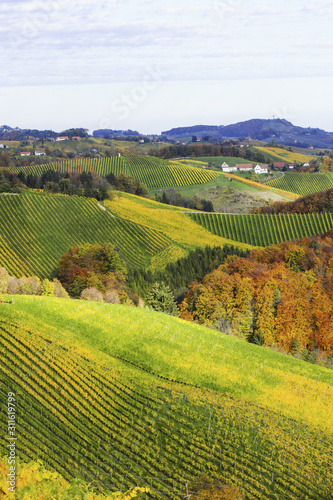 S  dsteirische Weinstrasse im Herbst    sterreich  Steiermark  S