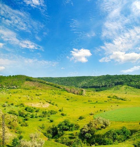 Fototapeta Naklejka Na Ścianę i Meble -  Hilly green fields with trees and blue sky.