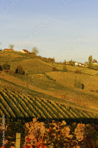 Südsteirische Weinstrasse im Herbst, Österreich, Steiermark, S
