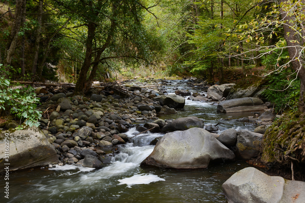 Obraz premium Borjomi, Georgia - September 22, 2018: Hiking trail through the forest to Tsar Bath pool