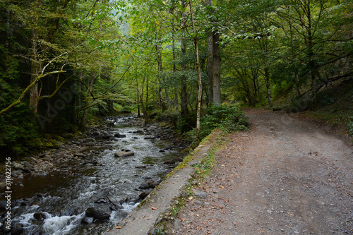 Borjomi, Georgia - September 22, 2018: Hiking trail through the forest to Tsar Bath pool